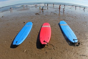 santa cruz surfing