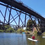 santa cruz surfing