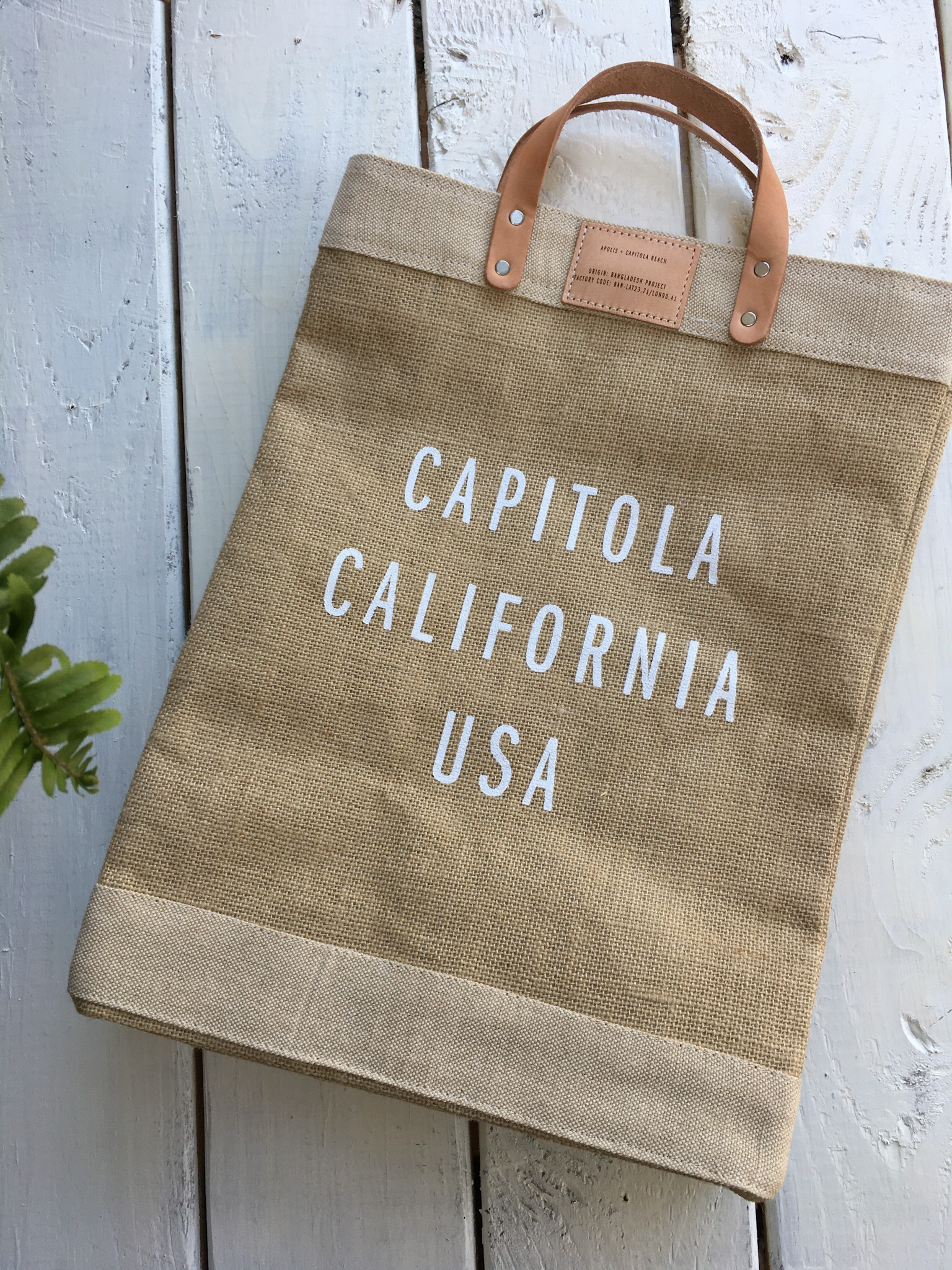 Santa Monica CA Apolis Tote Bag – Santa Monica Travel & Tourism